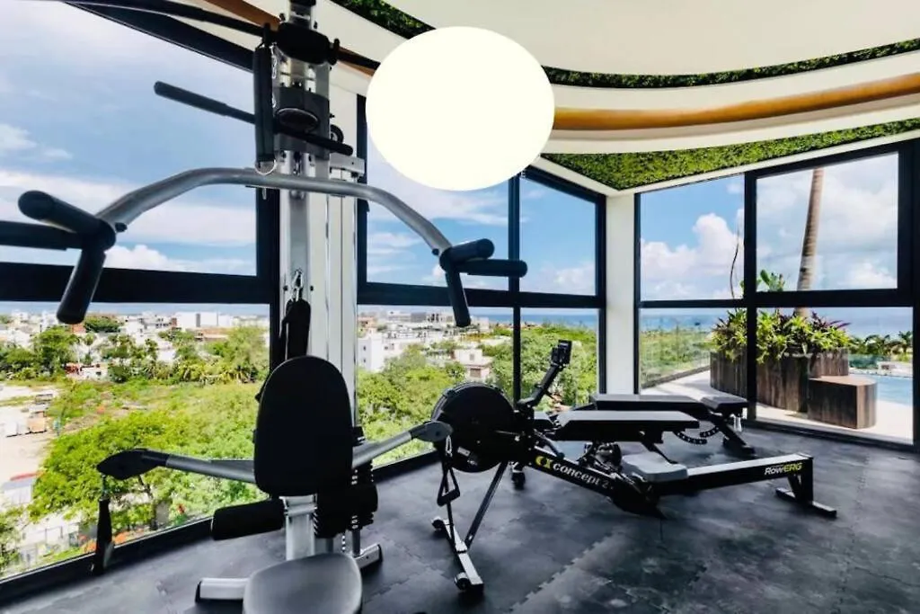 Loft View Sea The Best Ubication At 5Th Av Playa del Carmen 0*,  Mexico